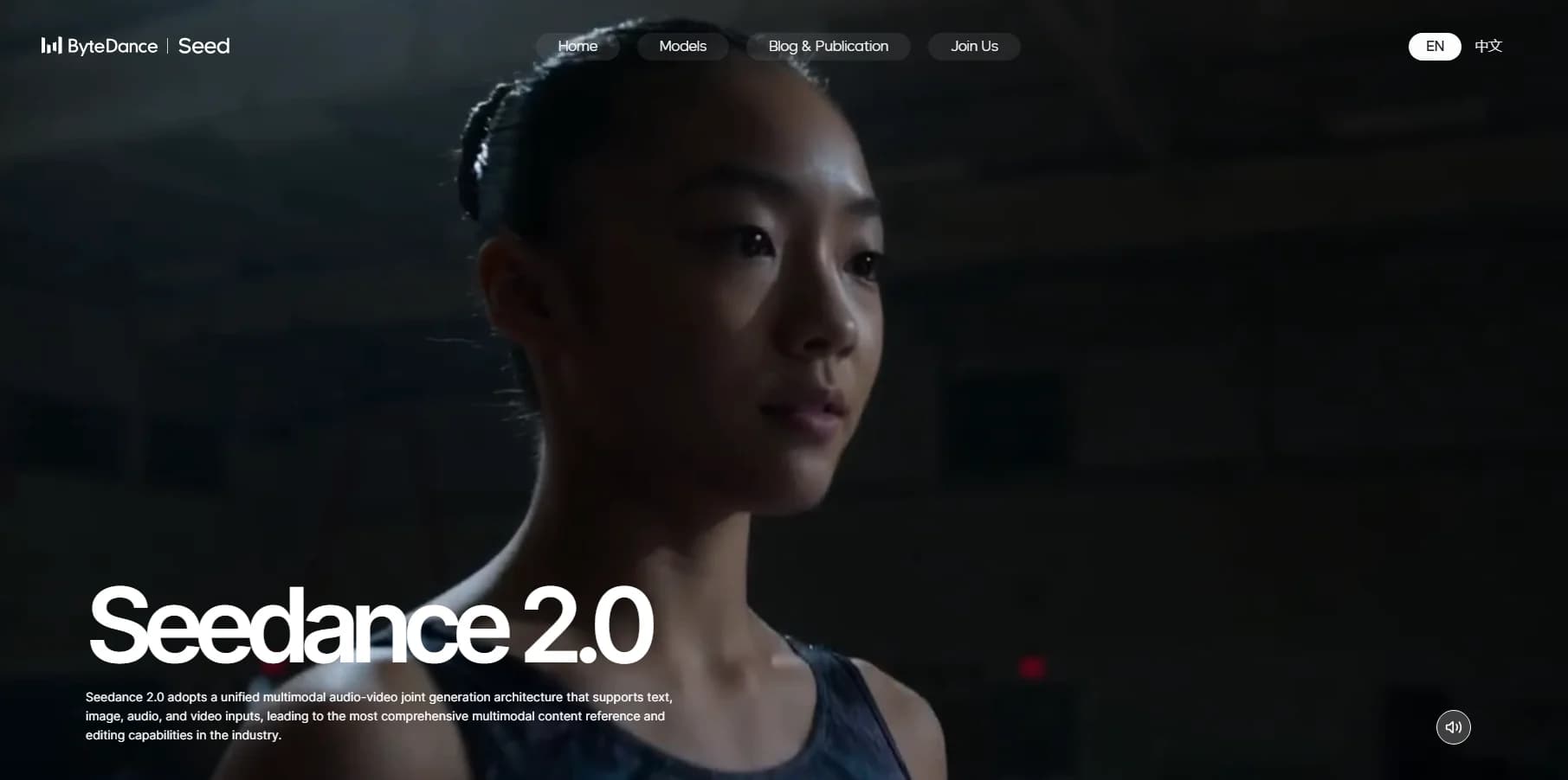 Seedance 2.0 screenshot 1