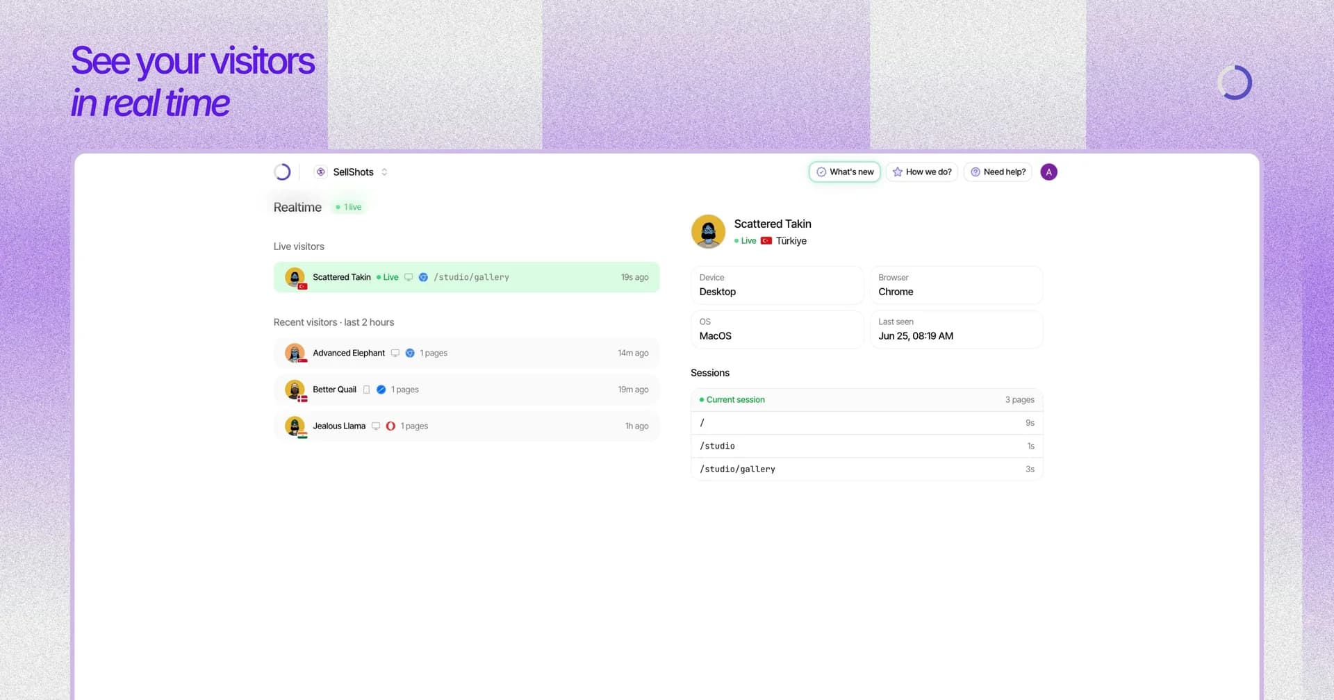 Sleek Analytics screenshot 3