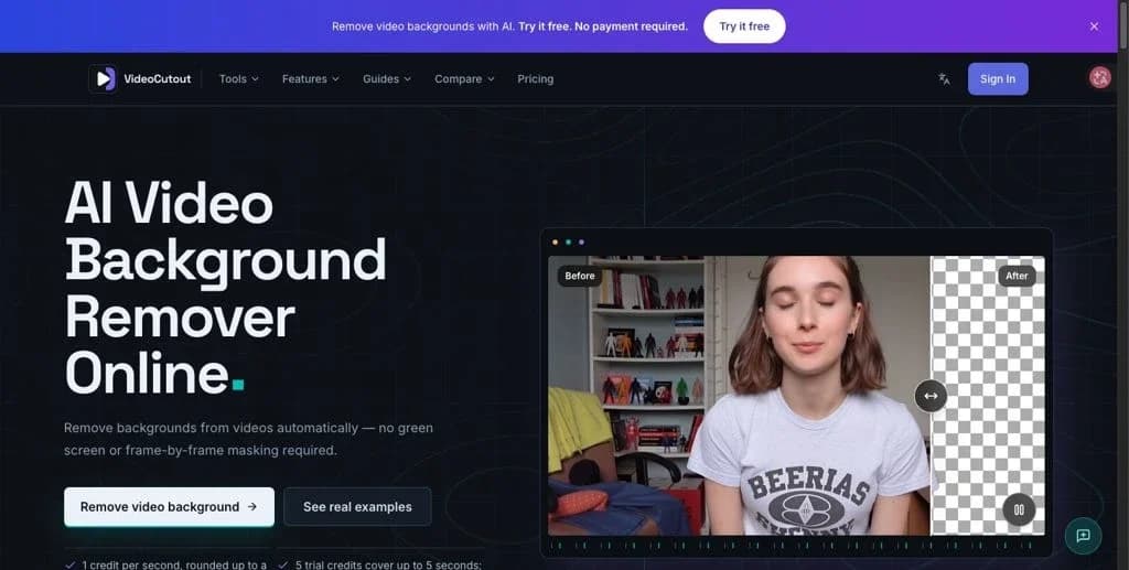 VideoCutout screenshot 1