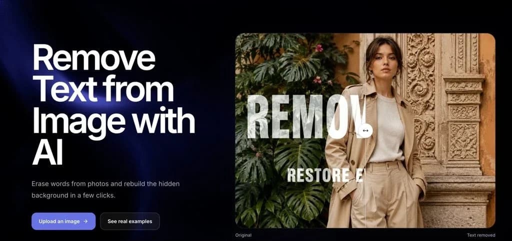 RemoveText screenshot 1
