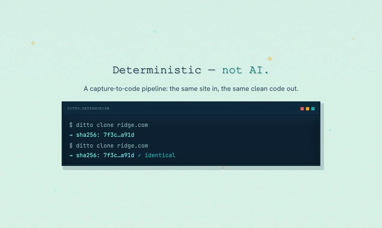 ditto.site screenshot 4