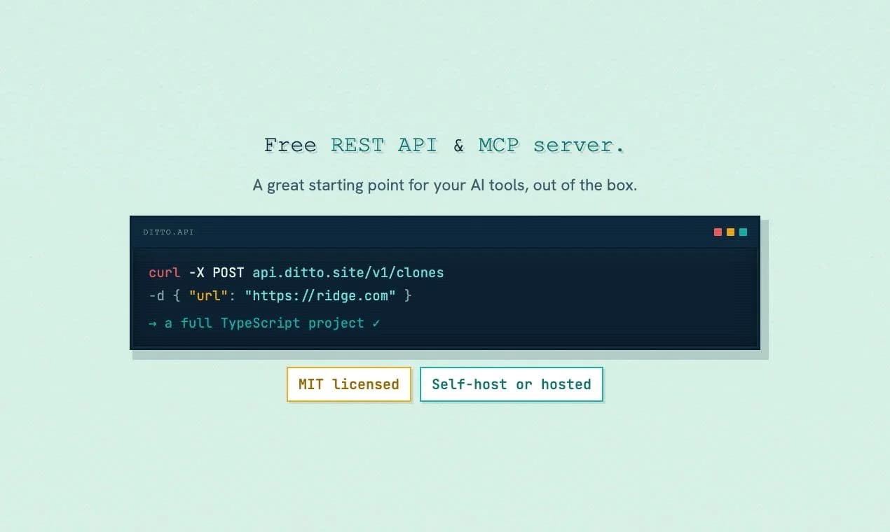 ditto.site screenshot 5