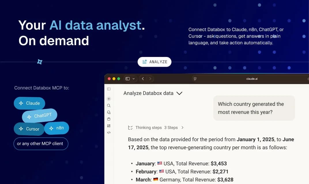 Databox MCP screenshot 3