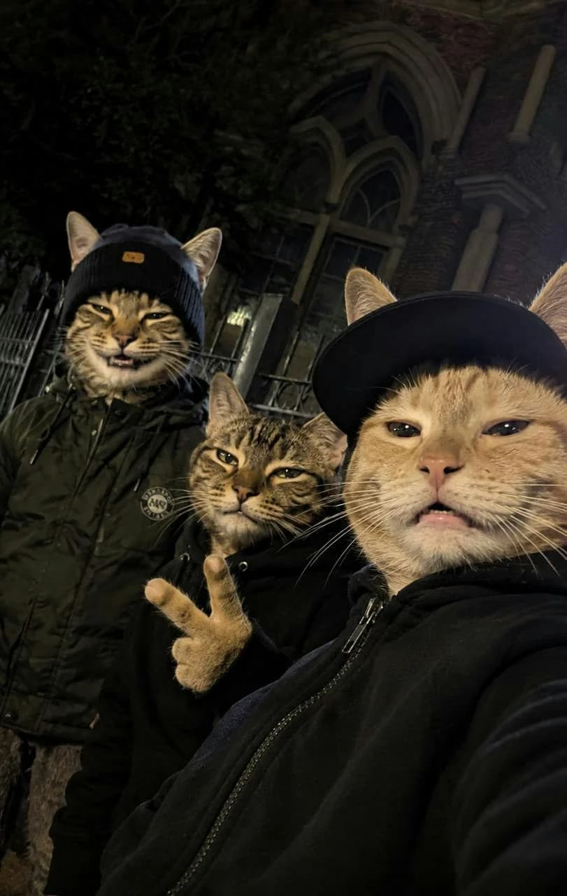 CAT ME app screenshot 4