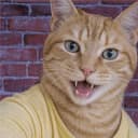 CAT ME app