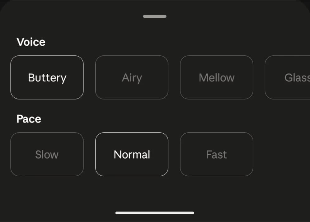 Claude Code Voice Mode screenshot 4