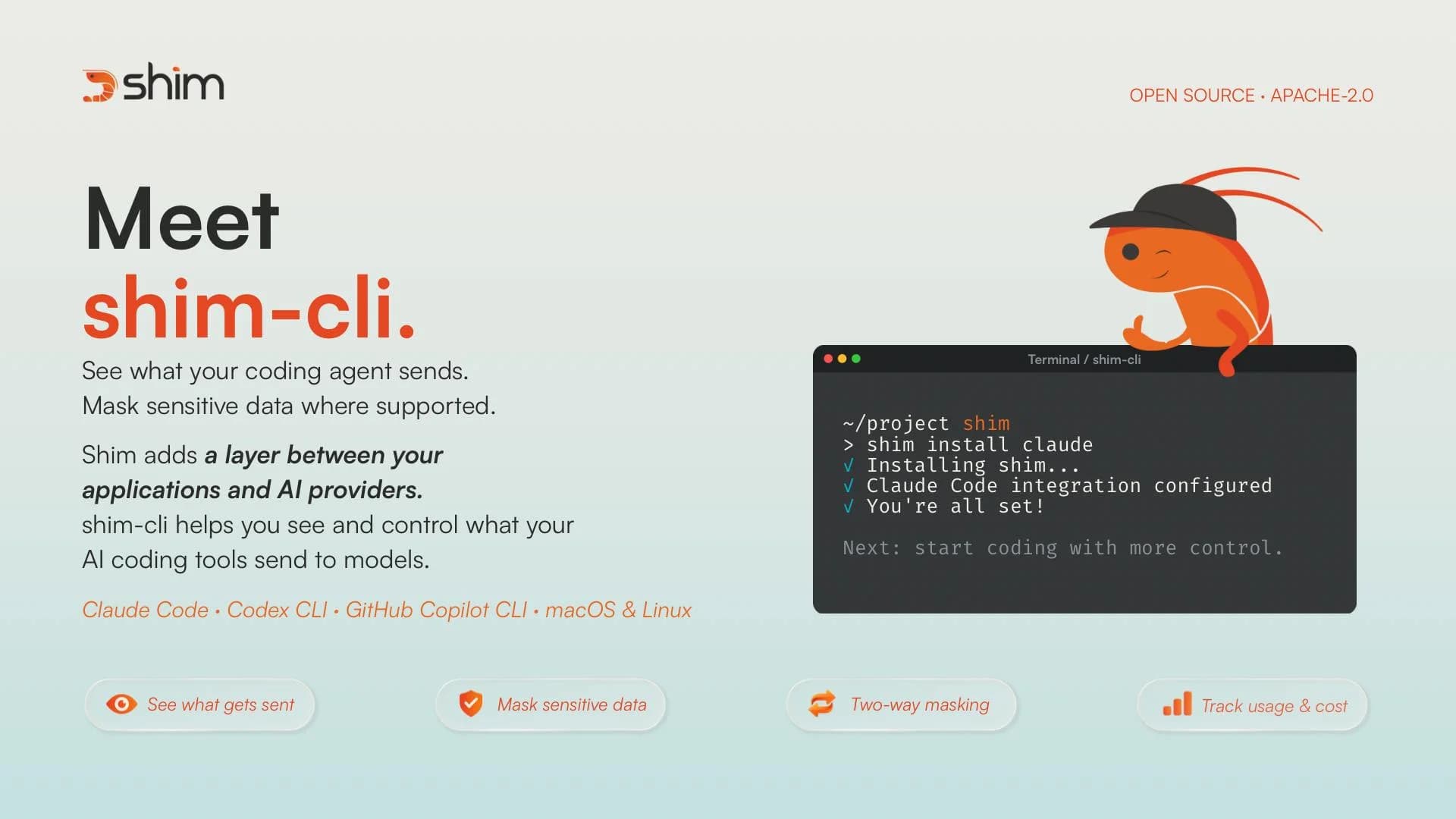 shim-cli screenshot 1