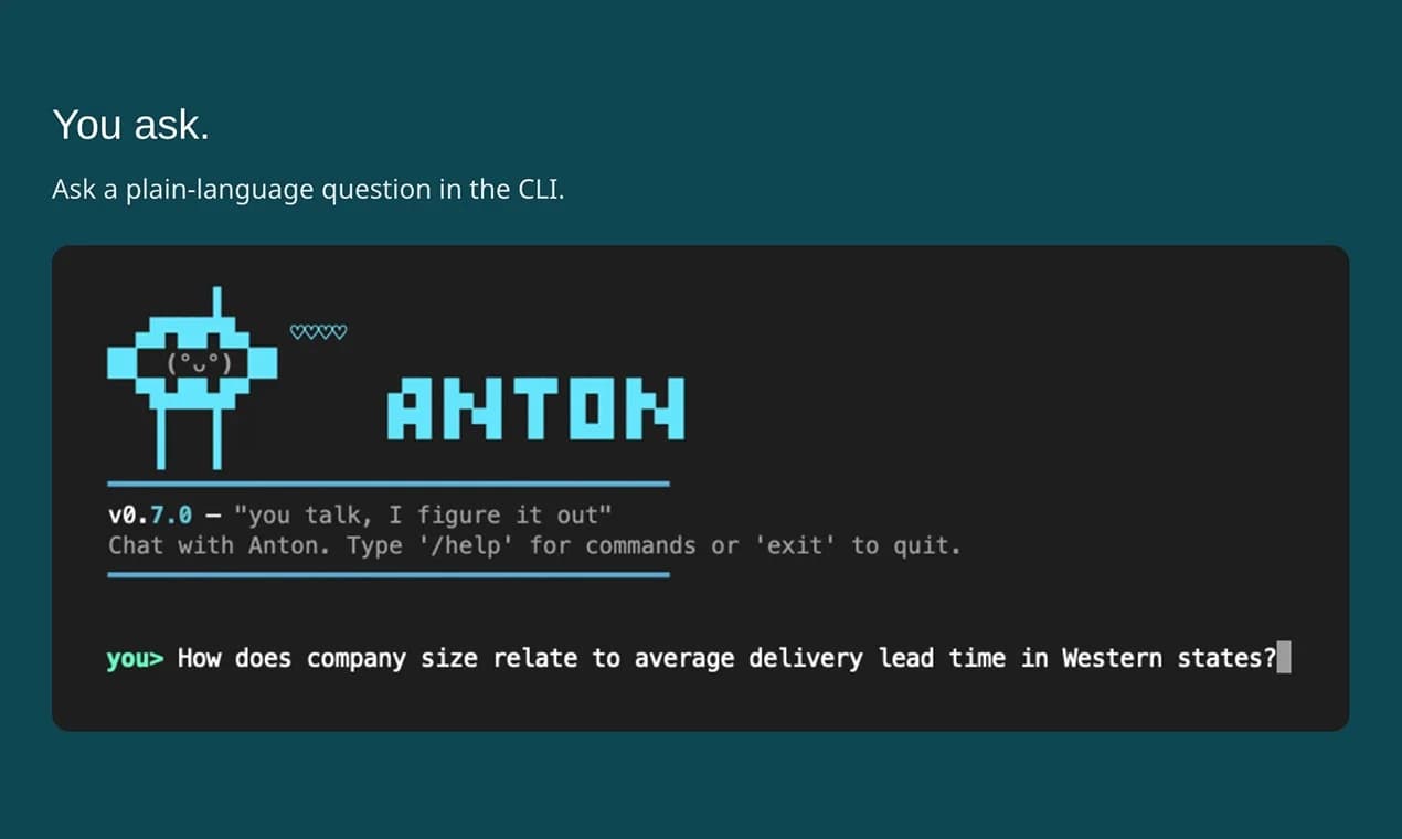 MindsDB Anton screenshot 1