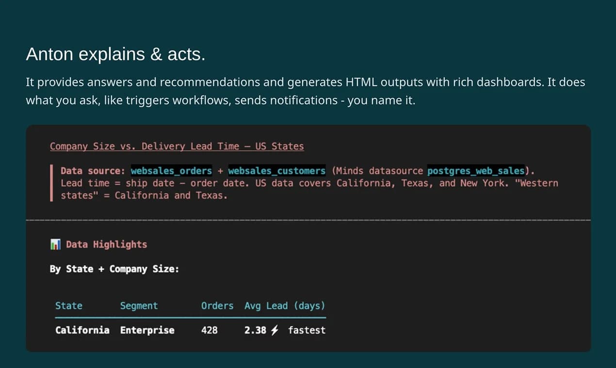 MindsDB Anton screenshot 4