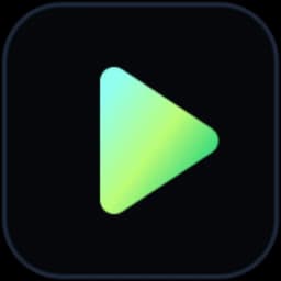 VideoAny logo