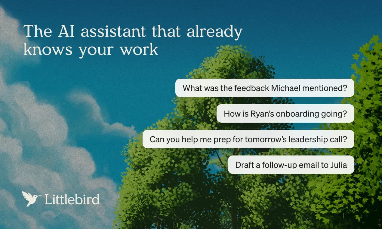 Littlebird screenshot 1