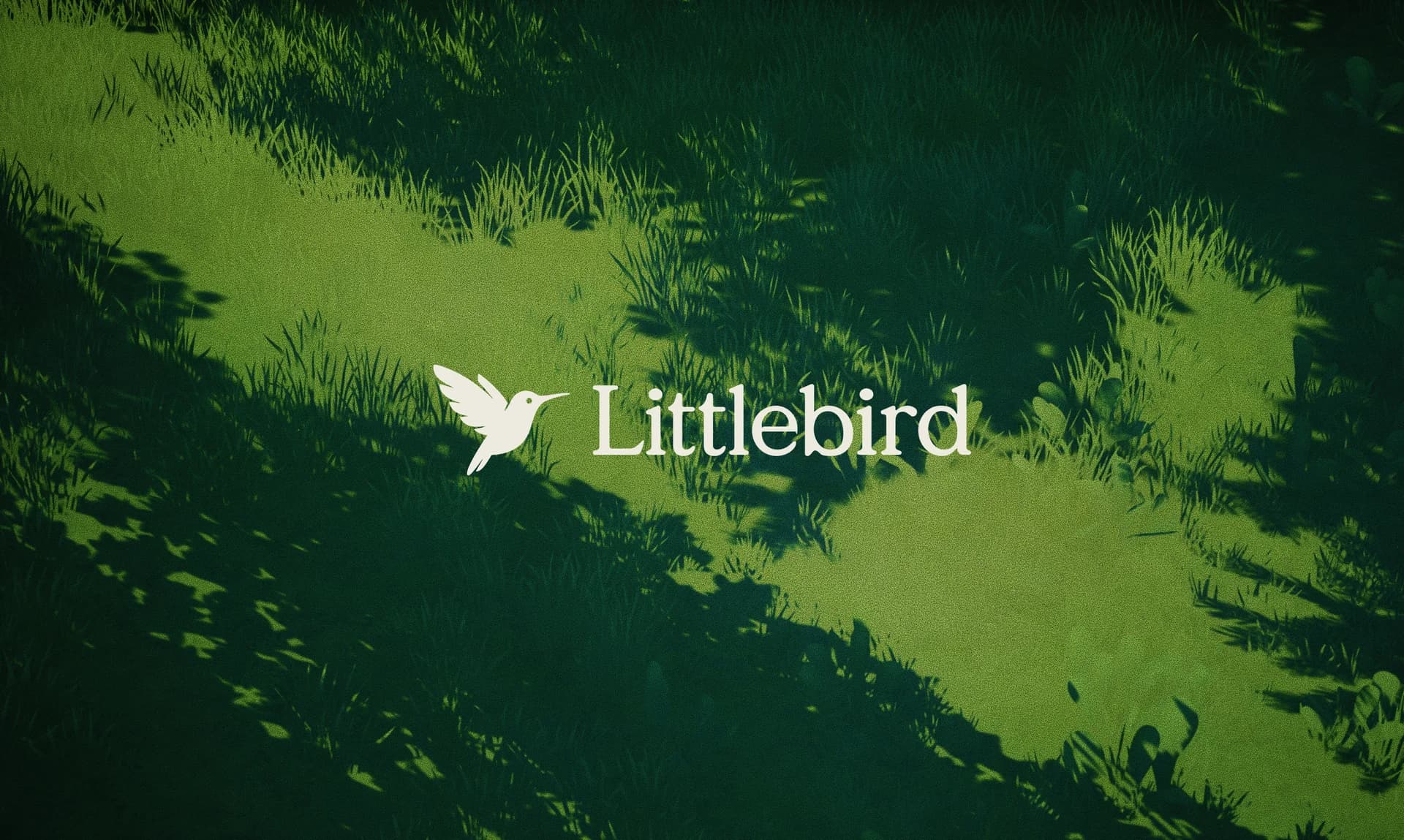 Littlebird screenshot 10
