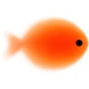 Goldfish