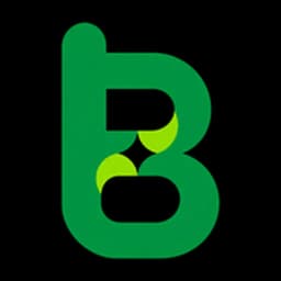 Bimg AI logo