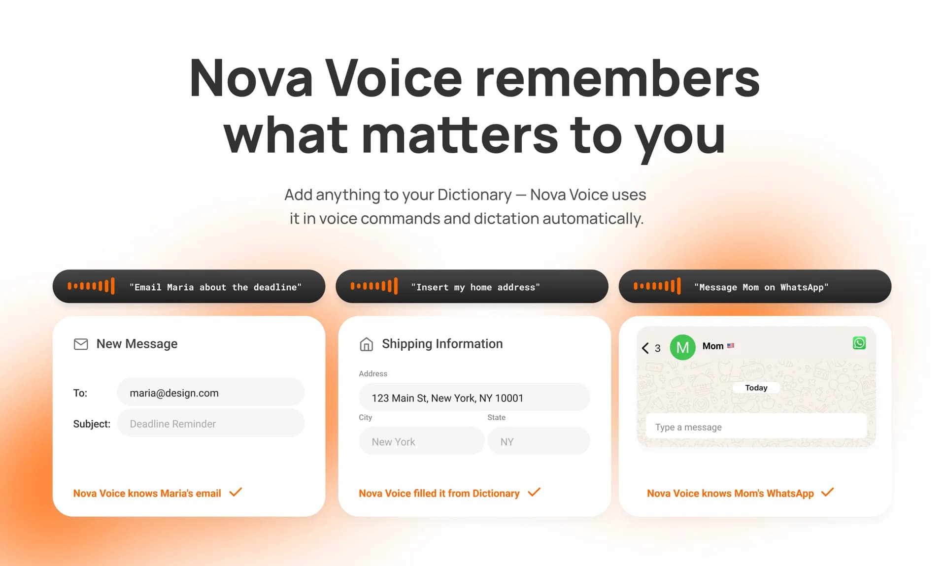 NovaVoice screenshot 9