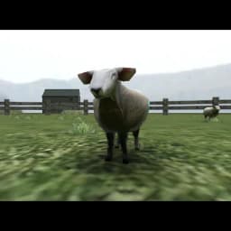 Crazy Cattle 3D logo