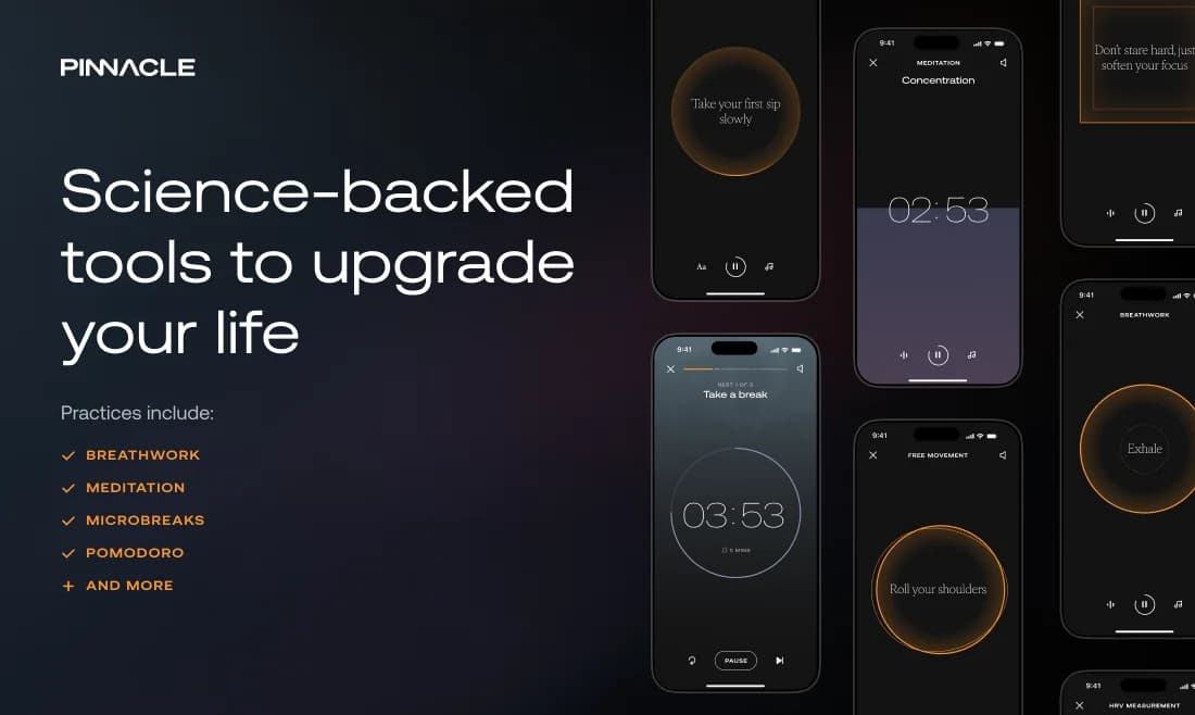 Pinnacle screenshot 3