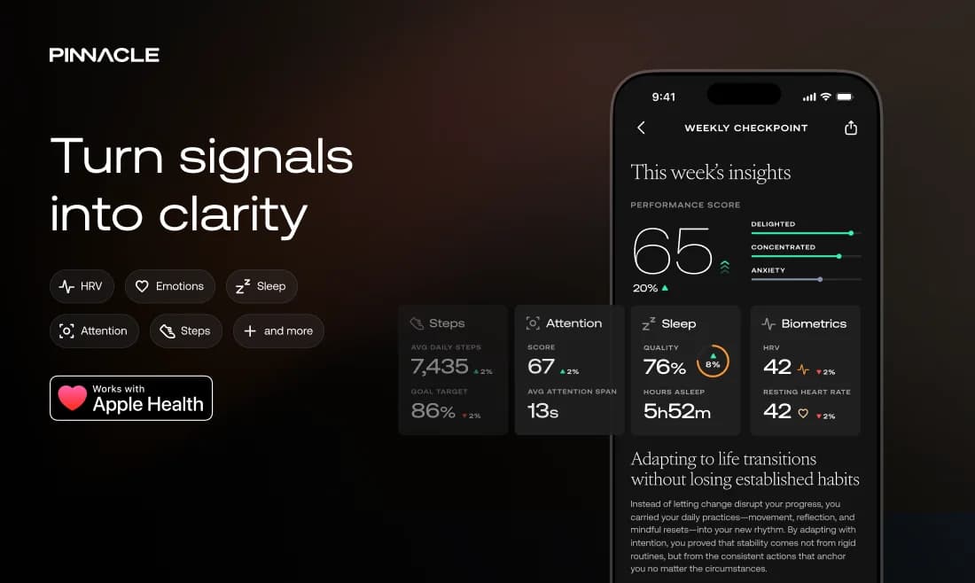 Pinnacle screenshot 5