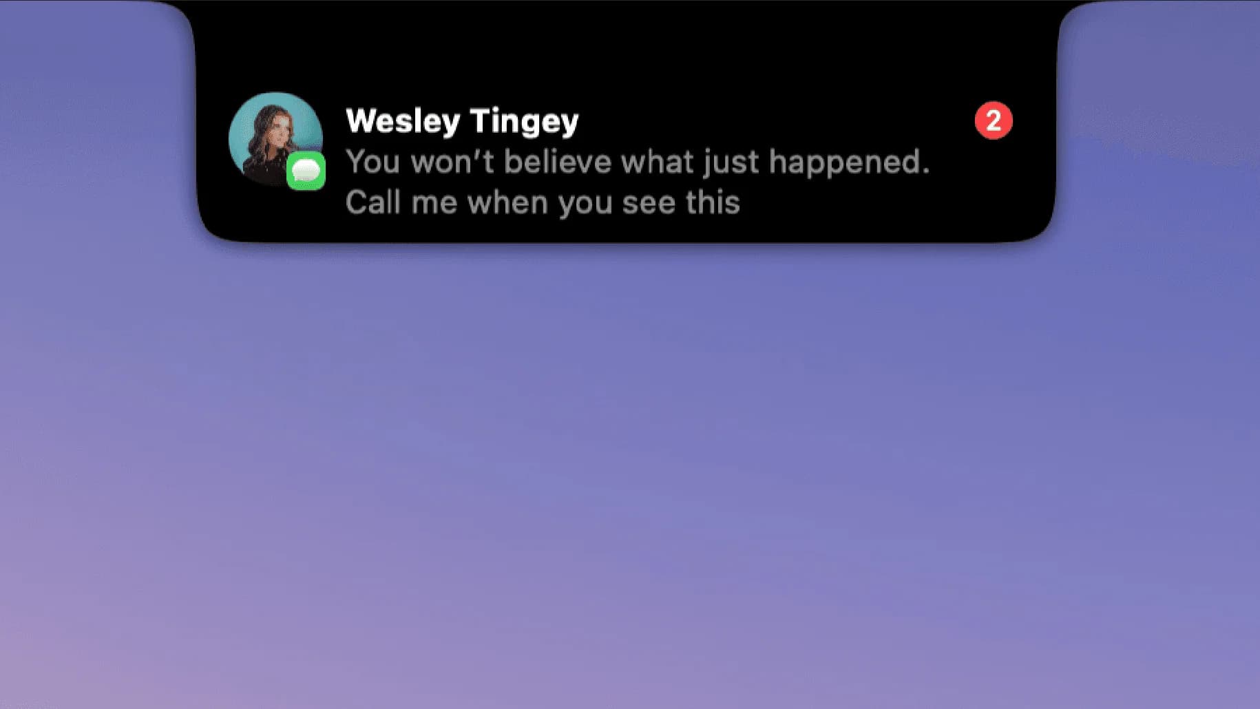 DynamicLake screenshot 1