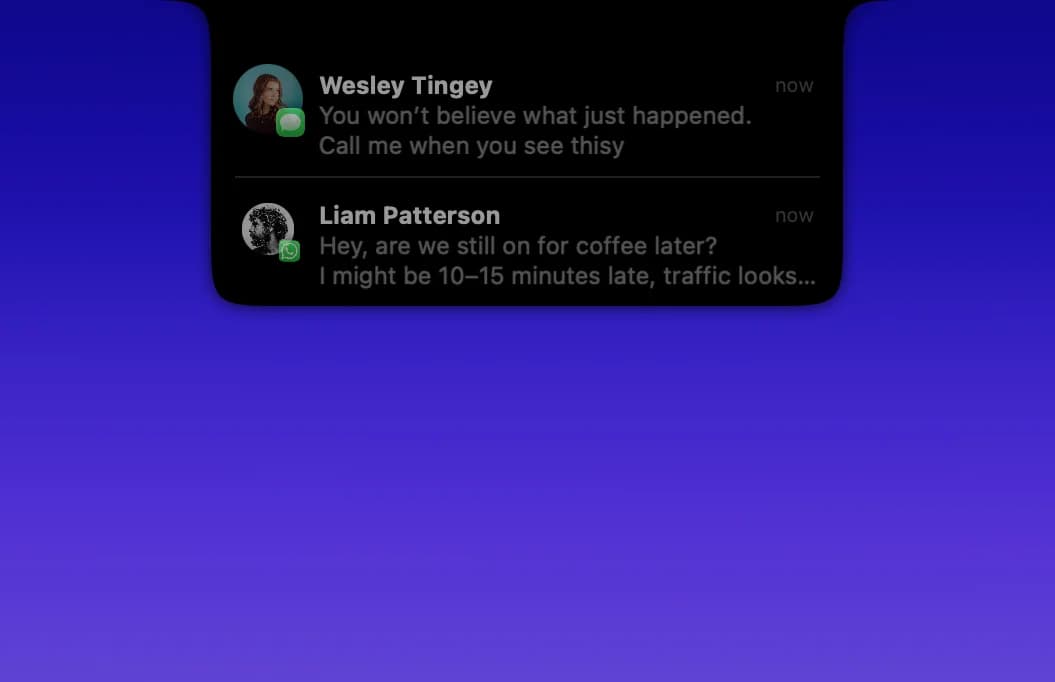 DynamicLake screenshot 2