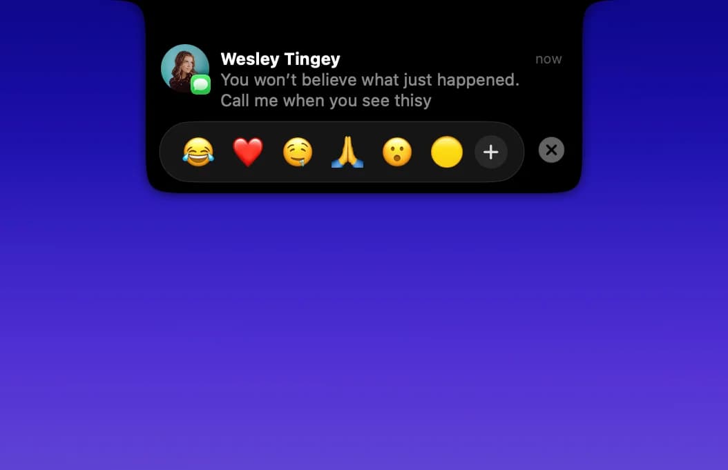 DynamicLake screenshot 3