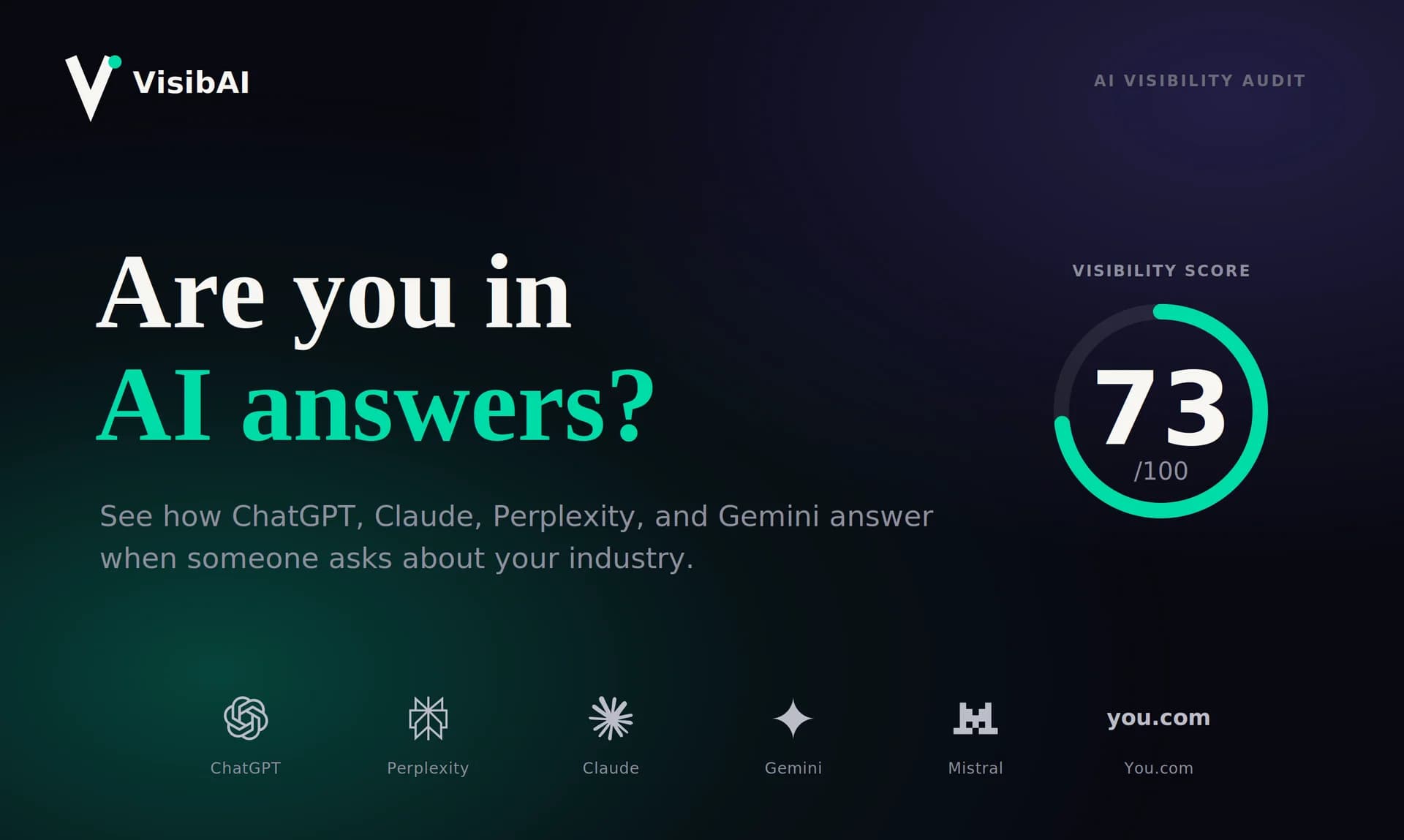 VisibAI screenshot 1