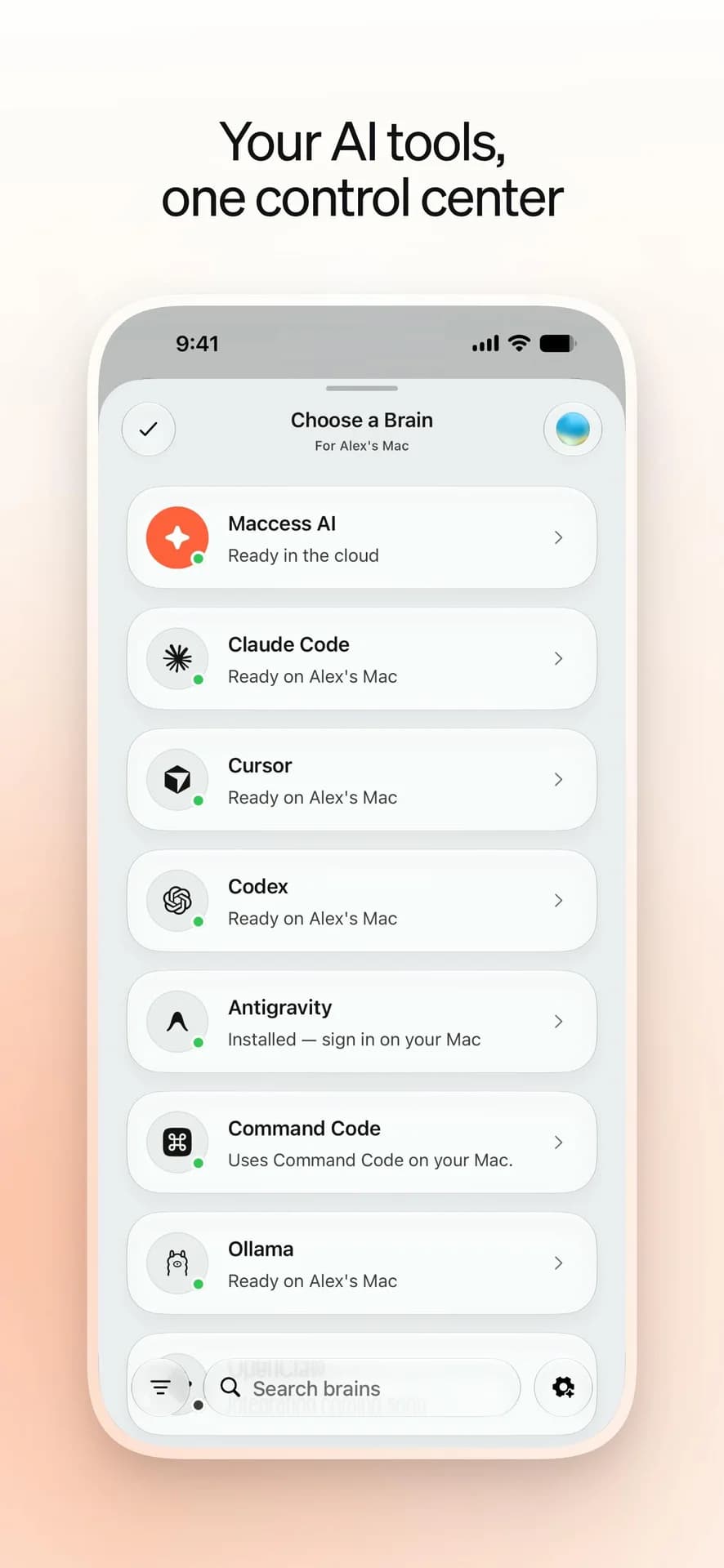 Maccess screenshot 5