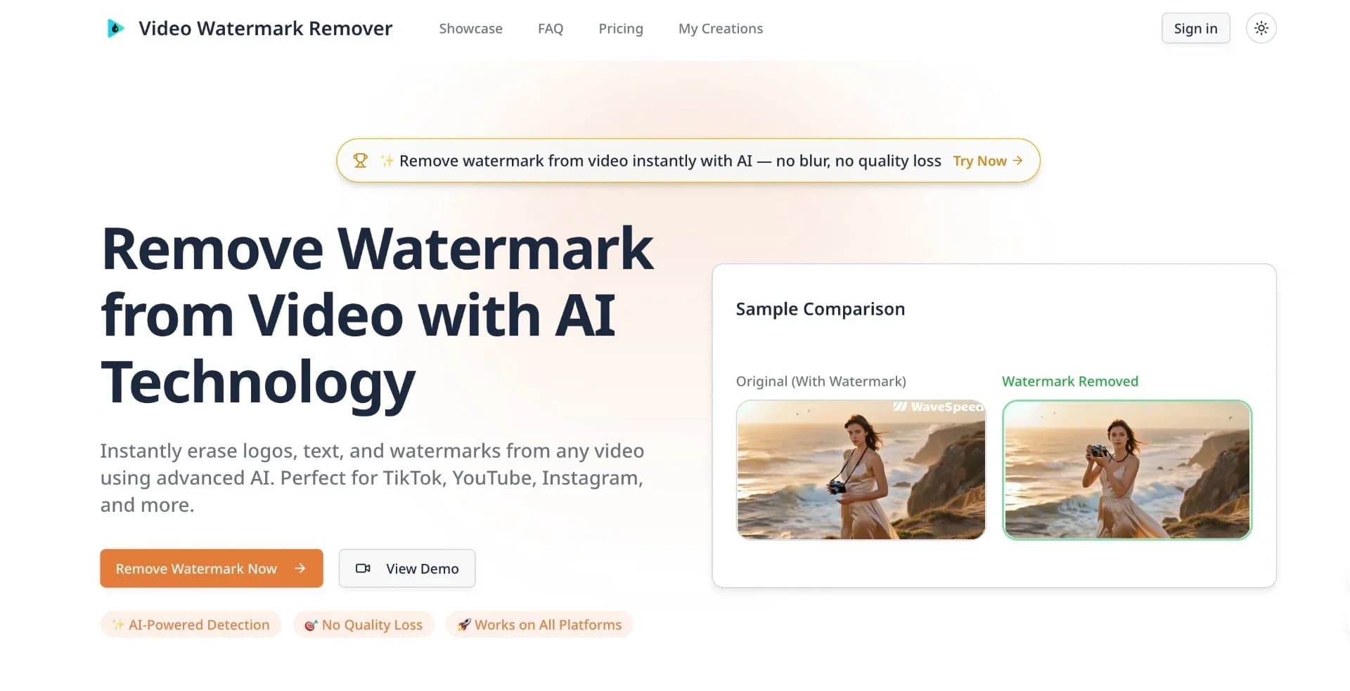 Video Watermark Remover screenshot 1