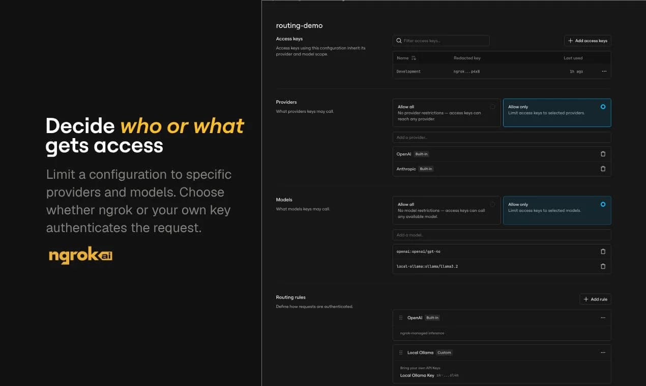 ngrok AI Gateway screenshot 8