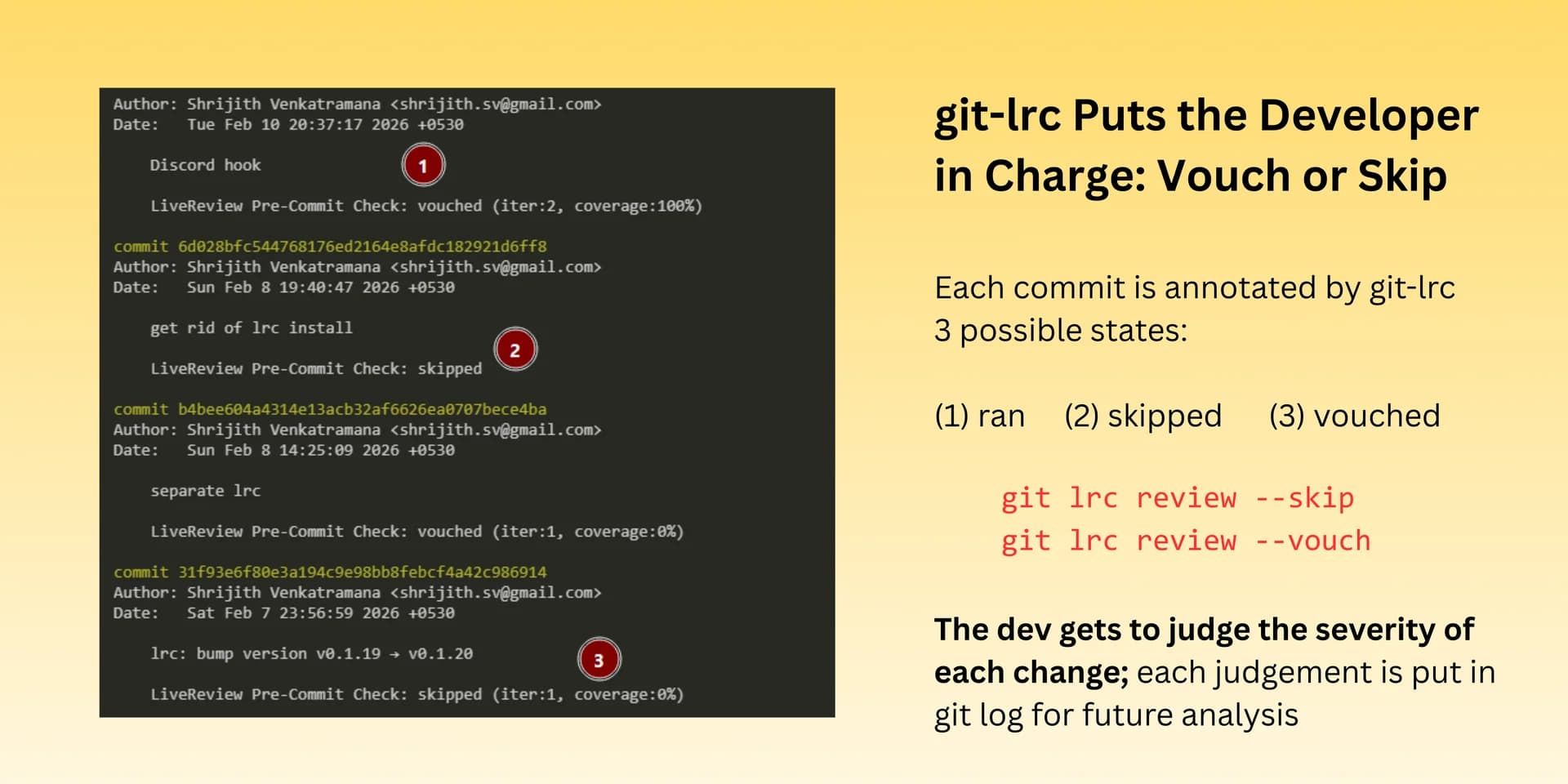 git-lrc screenshot 5