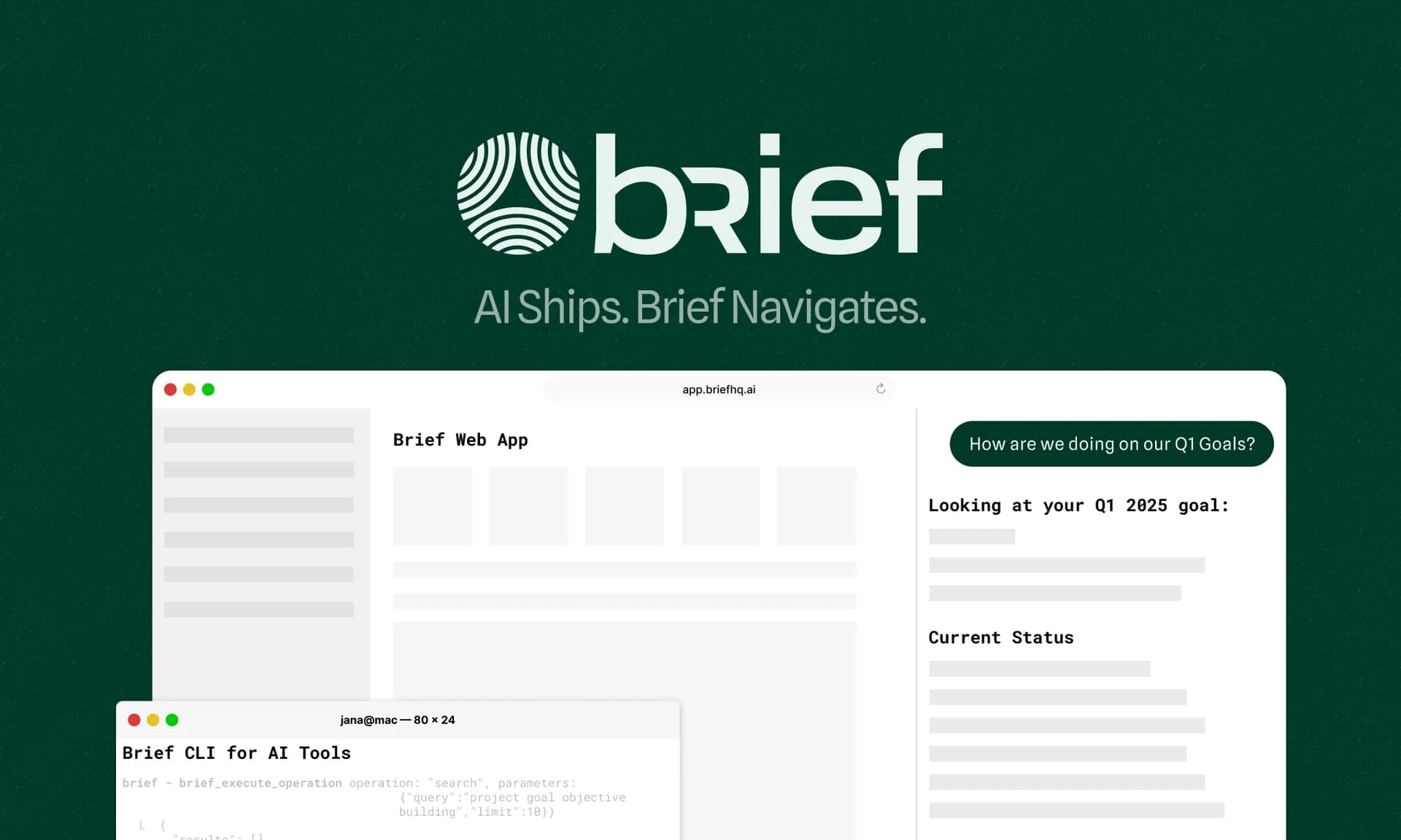Brief screenshot 1