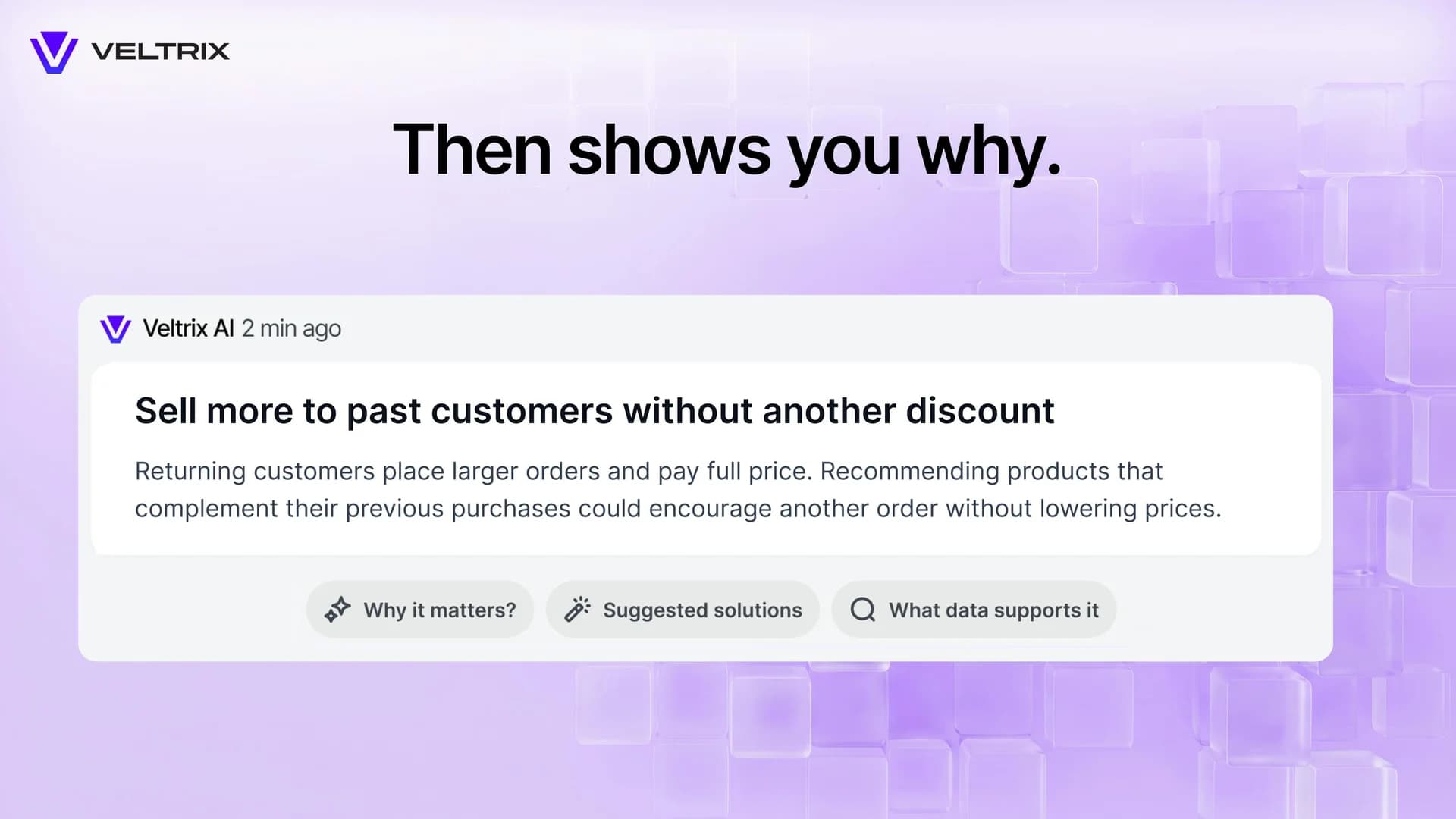 Veltrix AI for E-commerce screenshot 5