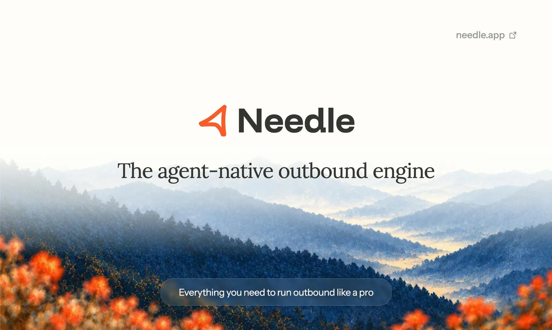 Needle screenshot 9