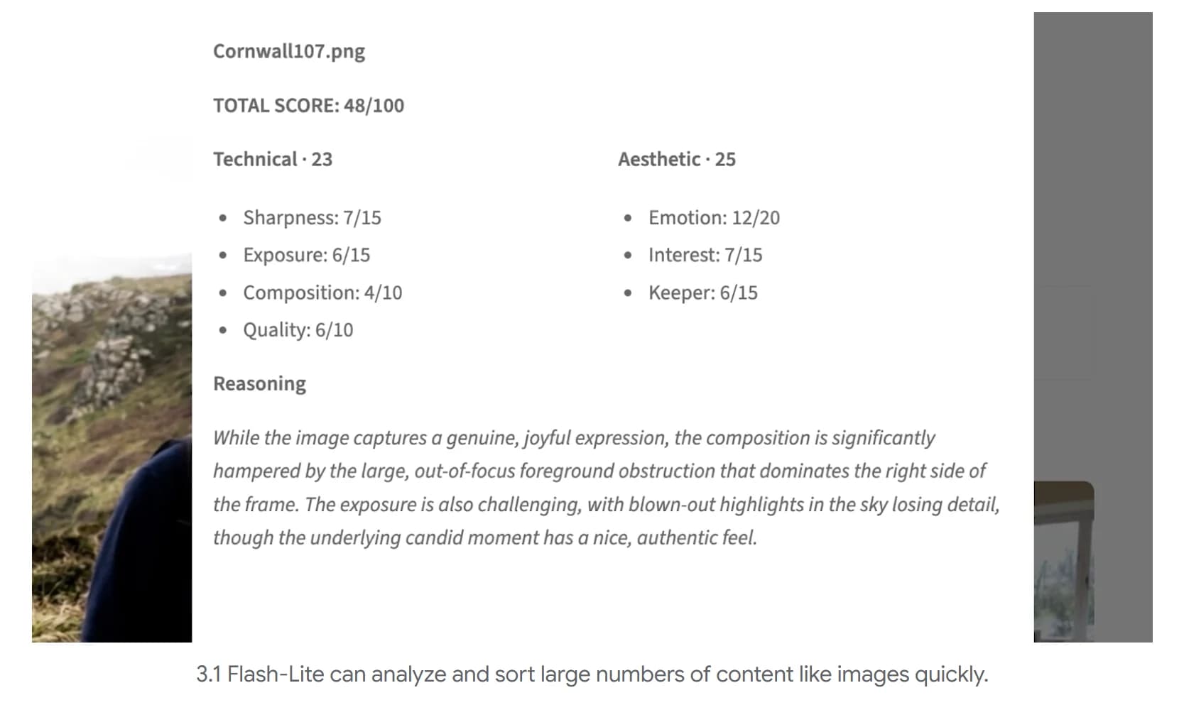 Gemini 3.1 Flash-Lite screenshot 6