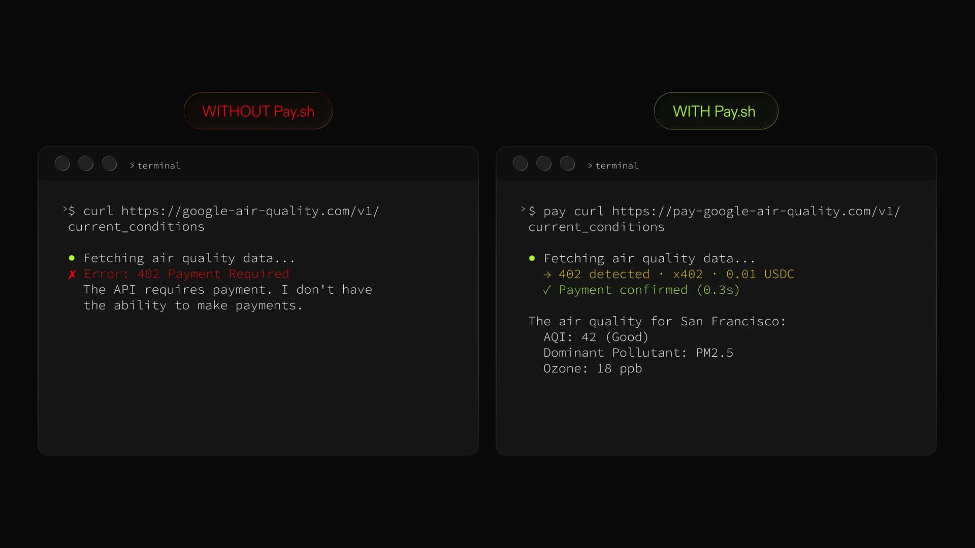 pay.sh screenshot 3